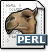 Script en perl